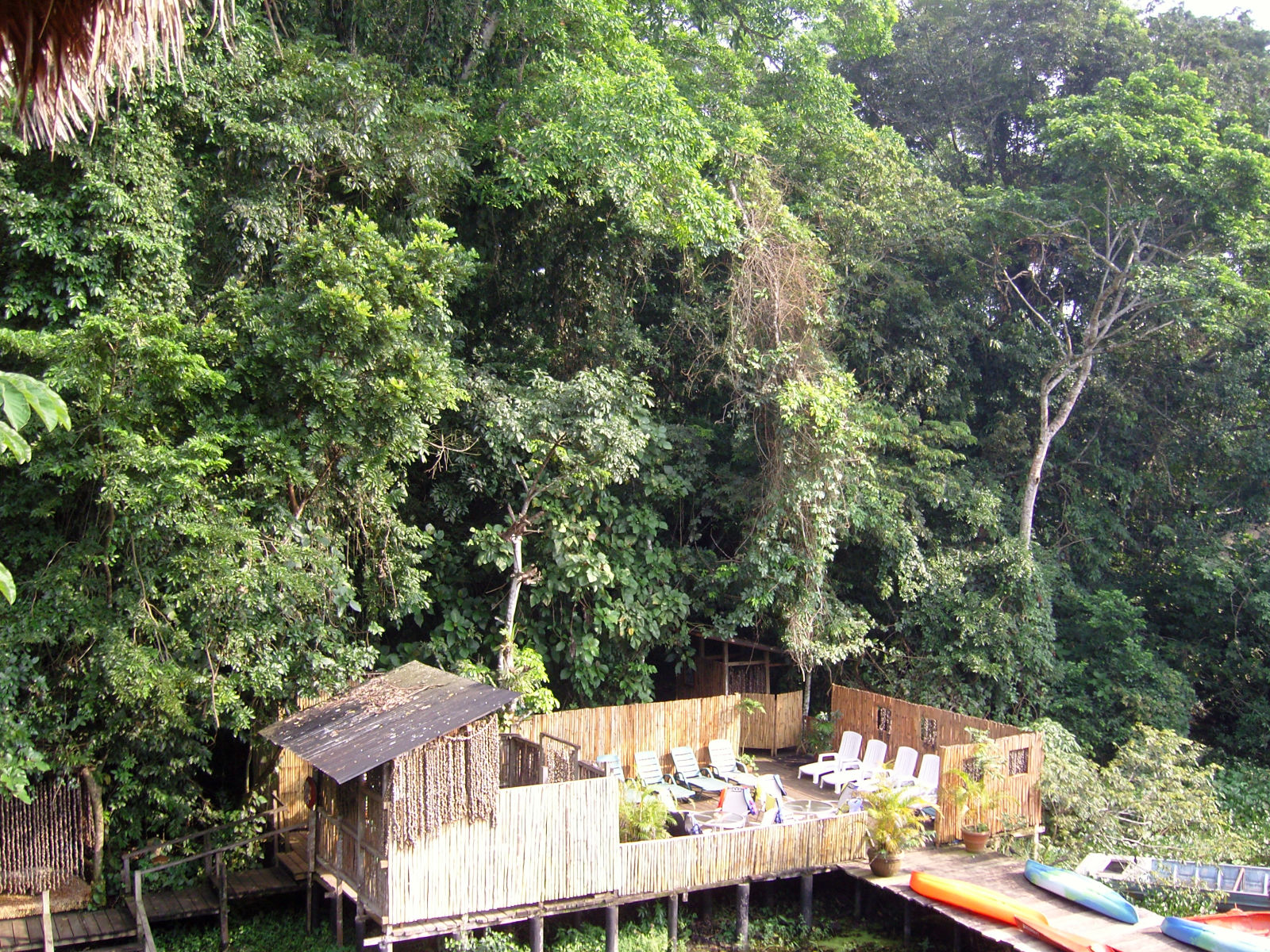 Reserva Ecol�gica de Nanciyaga Catemaco Veracruz