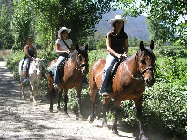 Cabalgata En Veracruz