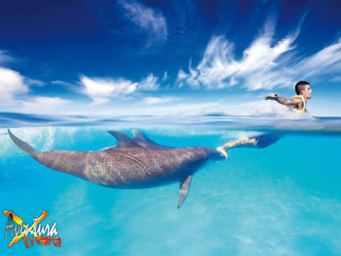 Vacaciones De Verano En Cancun