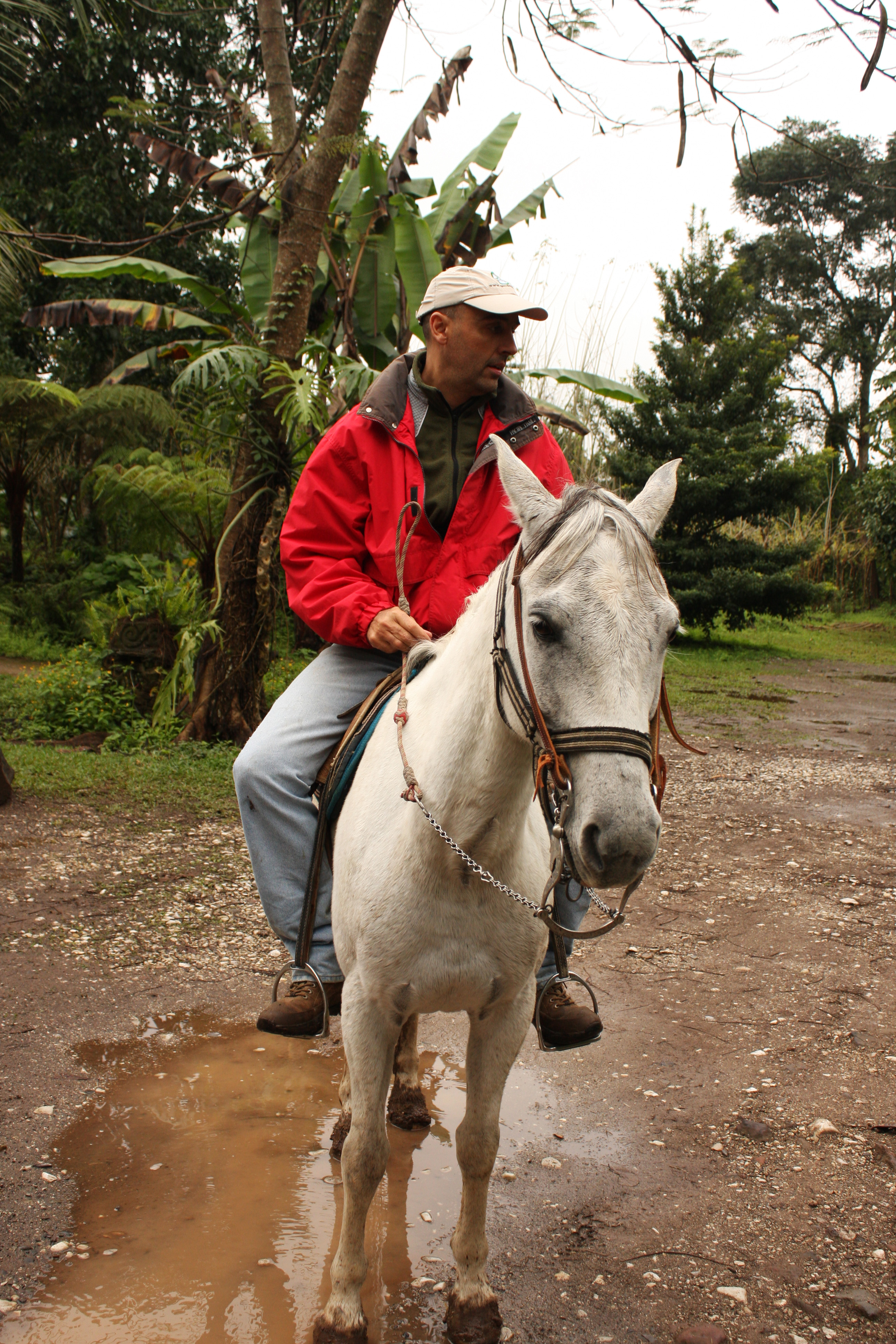 Cabalgata En El Rio Filobobos Hospedaje y Alojamiento En Tlapacoyan Veracruz