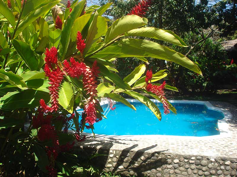 Hospedaje En Hostal R�o Pescados Jalcomulco Veracruz