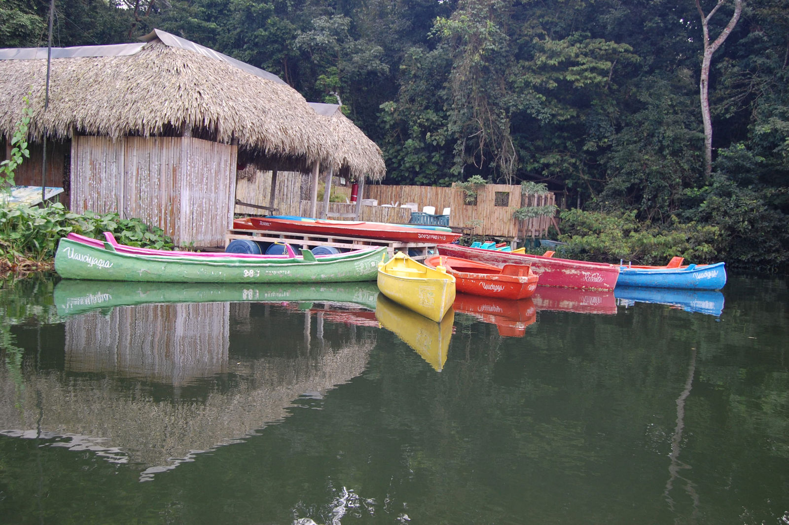 Veracruz Aventura Extrema Catemaco Los Tuxtlas / Tours En Veracruz