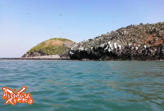 Excursión t Tours En Roca Partida Veracruz